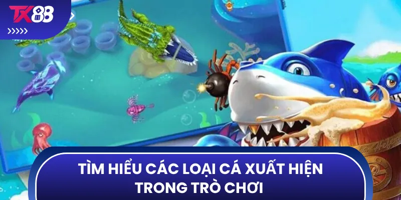 Tìm hiểu các loại cá xuất hiện trong trò chơi 